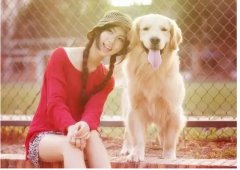 如何更好的和汪星人相處？