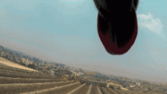 請你放過狗狗，不愛，但請別傷害！